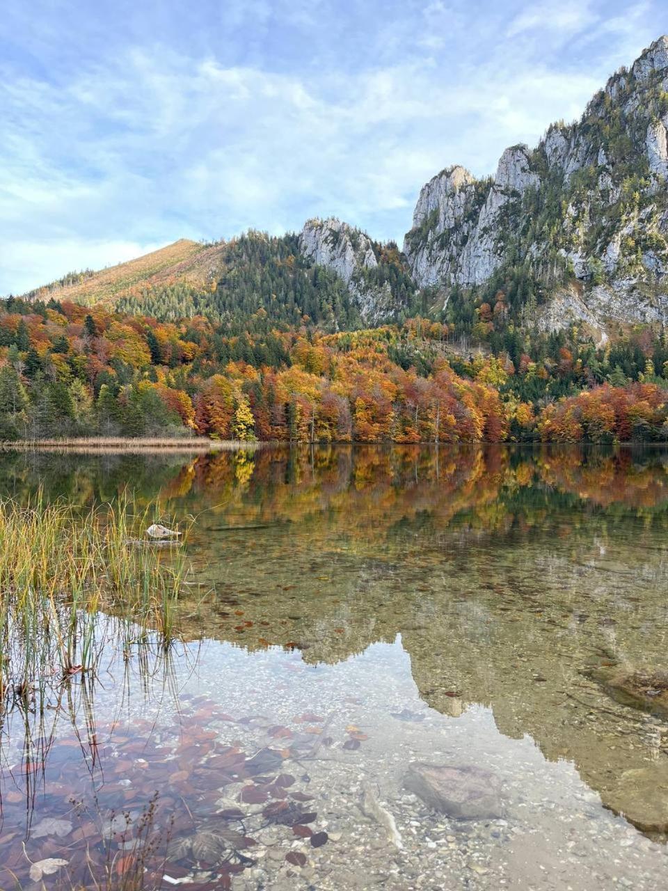 Pension Schindlau Scharnstein Екстер'єр фото
